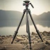 Gitzo Mountaineer Series 5 Carbon Fiber Tripod