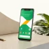 Google Fi Flexible