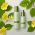Goodal Houttuynia Cordata Calming Essence