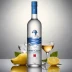 GREY GOOSE VX
