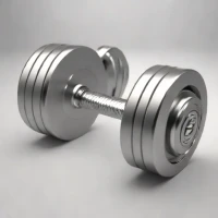 Gymreapers Adjustable Dumbbells