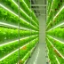 Green Sense Farms