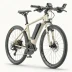Giant FastRoad E+ 2 Pro
