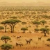 Gonarezhou Savanna