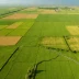 Georgian Steppe (Kartli Plains)