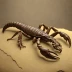 Gondwanascorpius emzantsiensis