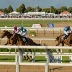 Greek Derby