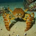 Guinea slipper lobster (Arctides guineensis)