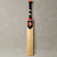 Gray-Nicolls Cobra