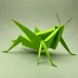 Grasshopper (Issei Yoshino)