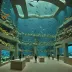 Genoa Aquarium