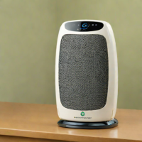 GermGuardian GG1000