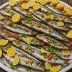 Grilled Sardines