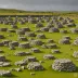 Grey Cairns of Camster