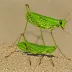 Green-legged Grasshopper (Ailopus thalassinus)