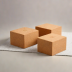 Gaiam Essentials Cork Yoga Blocks (2-Pack)