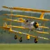 Great Lakes 2T-1