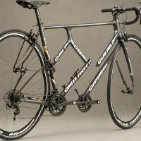 Giant TCR