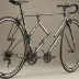 Giant TCR