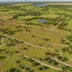 Godlingston Heath