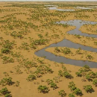 Gulf Plains