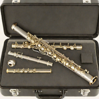 Gemeinhardt J201 Student Flute
