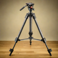Gitzo 5 Series Video Tripod with Pro Fluid Head