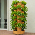 GreenStalk Vertical Planter
