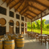 Good Earth Winery (India)