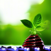 GreenGeeks Web Hosting