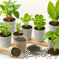 Garden Therapy Seed Starting Kit