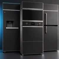 Gaggia Classic Pro 2