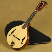 Gold Tone AC-100