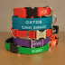 GoTags Personalized Dog Collar