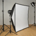 Godox 20x24 inch Strip Softbox