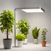 Gardzen Grow Light