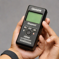 Gossen Digisix II