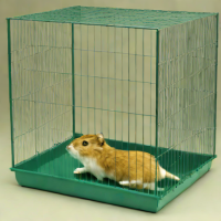 Generic Wire Cage (Various Retailers)