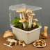 Grow-It Oyster Mushroom Kit