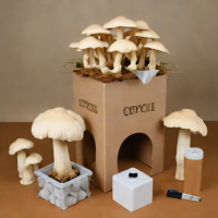 Grocycle Oyster Mushroom Kit