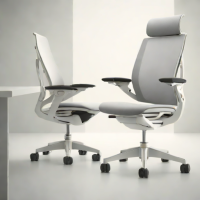 Humanscale Diffrient World Chair