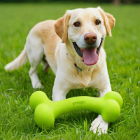 Hartz Dura Play Bouncy Bone