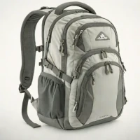 High Sierra Access Laptop Backpack