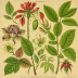 Hunt Institute for Botanical Documentation