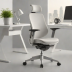 Hbada Office Ergonomic Chair