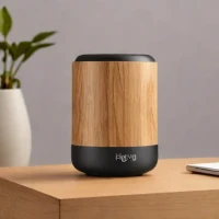 Hey Ya Sound Pod