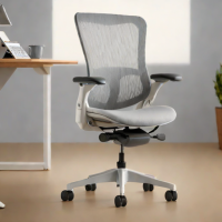 Herman Miller Renew