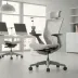 Hag Capisco Mesh Chair (Executive Model)