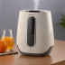 Honeywell Cool Mist Evaporative Humidifier