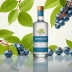 Hangar 1 Maine Wild Blueberry Vodka